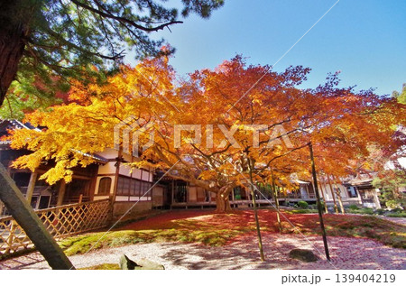 糸島市　雷山千如寺　紅葉の大楓 139404219