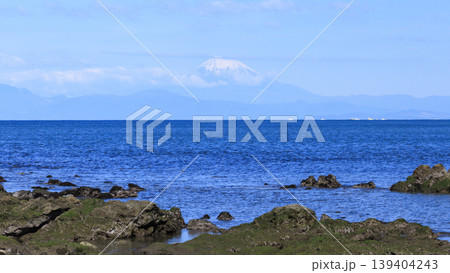 和田長浜の初夏 139404243