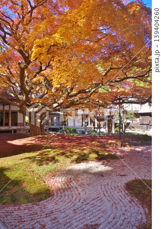 糸島市　雷山千如寺　紅葉の大楓 139404260