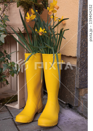 Bright yellow rain boots creatively repurposed as vibrant daffodil flower pots on pavement. 139404282