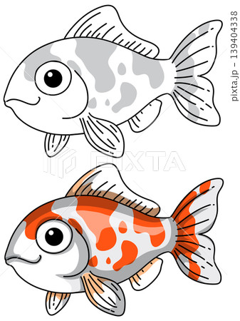 Cute Cartoon Koi Fish Vector Illustration in Color and Line Art 139404338