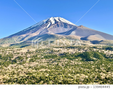 春の富士山 139404445