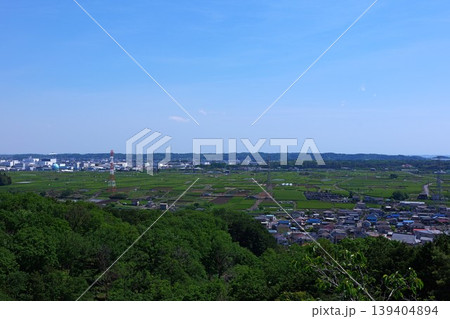 桜山展望台から見下ろした金子台の茶畑 139404894