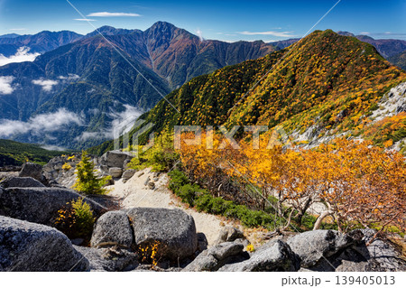 南アルプス・鳳凰三山・観音岳稜線から見る早川尾根・高嶺と白峰三山 139405013