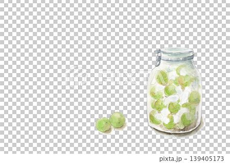 一幅手繪水彩插圖，描繪了一個用來保存梅酒的罐子。 139405173