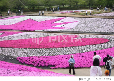 芝桜のある公園 139405765