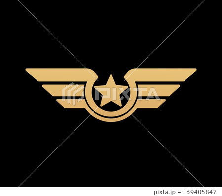 Golden wings award shield, aviation pilot rank sign. Aviation pilot award vector badge, army airforce medal emblem. Military elite force golden symbol with gold five point star and wings feather 139405847