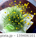 自宅に咲く花 自宅に咲く花 139406101