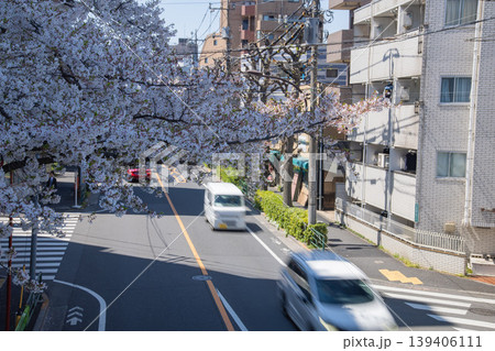 桜が満開の新青梅街道の交通【都会イメージ】 桜が満開の新青梅街道の交通【都会イメージ】 139406111