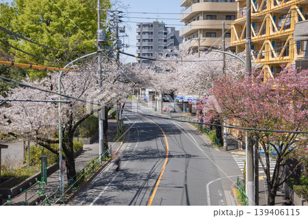 桜が満開の新青梅街道の交通【都会イメージ】 桜が満開の新青梅街道の交通【都会イメージ】 139406115
