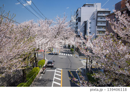 桜が満開の新青梅街道の交通【都会イメージ】 桜が満開の新青梅街道の交通【都会イメージ】 139406118