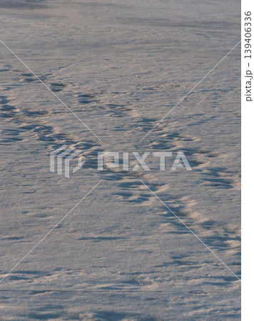 Tracks on the ice of a lake in spring in Finland 139406336