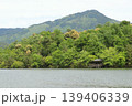 深緑の宝ヶ池 139406339