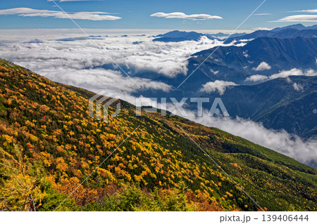 南アルプス・鳳凰三山・観音岳から見るダケカンバの黄葉の斜面と雲海 139406444