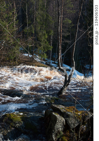 Spring floods in a rapids in the forest in Finland 139406503