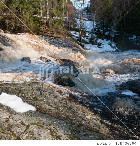 Spring floods in a rapids in the forest in Finland 139406504