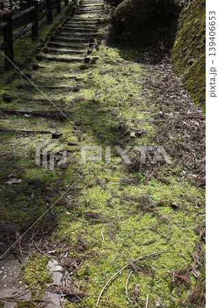 和歌山県古座川町一枚岩周辺自然いっぱいの古道 139406653
