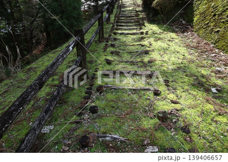 和歌山県古座川町一枚岩周辺自然いっぱいの古道 139406657
