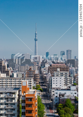 東京の住宅街とスカイツリー　緑の木々越しに見える都市のシンボル 139407094