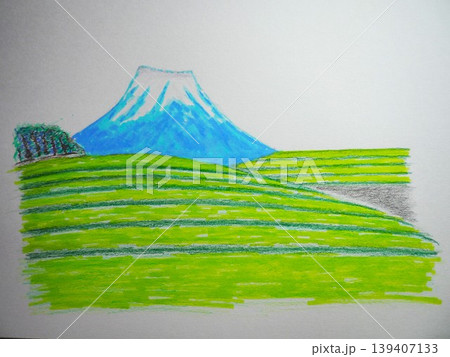 富士山と茶畑 富士山と茶畑 139407133
