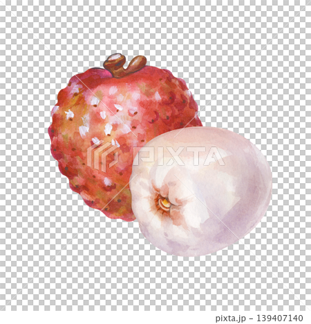 Isolated watercolor illustration of whole red lychee with stem and peeled fruit Isolated watercolor illustration of whole red lychee with stem and peeled fruit 139407140