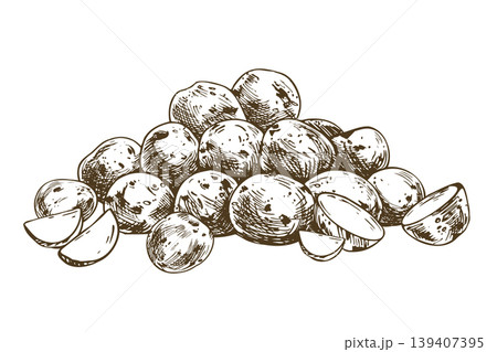 Pile of raw baby potatoes drawn with ink. Hand drawn graphic illustration of vegetable for food design. Sketch style outline for harvest market, agricultural product and recipe book. Pile of raw baby potatoes drawn with ink. Hand drawn graphic illustration of vegetable for food design. Sketch style outline for harvest market, agricultural product and recipe book. 139407395