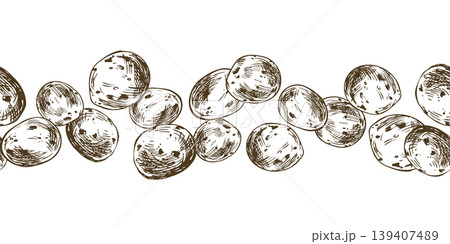 Hand drawn potato vegetable illustration seamless border. Monochrome ink sketch of raw tubers in line art style. Agricultural harvest graphic design element for food packaging and organic market. Hand drawn potato vegetable illustration seamless border. Monochrome ink sketch of raw tubers in line art style. Agricultural harvest graphic design element for food packaging and organic market. 139407489