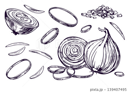 Hand drawn onion set with cut slices and chopped pieces. Sketch of vegetable for culinary recipe book, restaurant menu design and food packaging. Black and white ink line art illustration. Hand drawn onion set with cut slices and chopped pieces. Sketch of vegetable for culinary recipe book, restaurant menu design and food packaging. Black and white ink line art illustration. 139407495