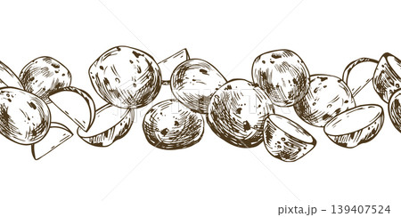 Hand drawn sketch of potato vegetable tubers. Seamless horizontal border with raw vegetable root graphics. Ink illustration style for food packaging, grocery design and culinary menu. Hand drawn sketch of potato vegetable tubers. Seamless horizontal border with raw vegetable root graphics. Ink illustration style for food packaging, grocery design and culinary menu. 139407524