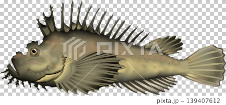 魚イラスト　「オニオコゼ」　ベクター形式　白背景単体 139407612