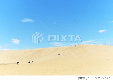 砂丘の美しい風景 139407657