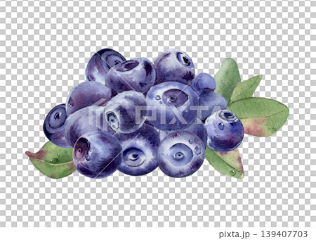 Blueberry bunch with green leaf painted in watercolor isolated. Hand drawn botanical illustration of forest nordic bilberry. Wild berries organic food ingredient for superfood and culinary design. 139407703