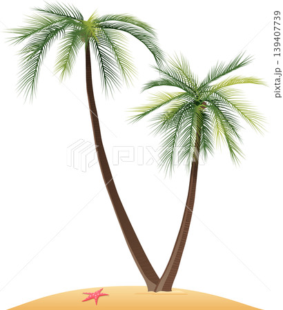 Palm tree on a beach stock illustration 139407739