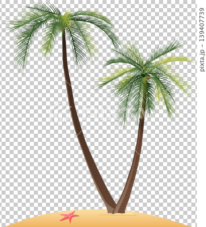 Palm tree on a beach stock illustration 139407739