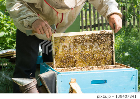 The beekeeper checking the beehive. Beekeeper harvesting honey 139407841