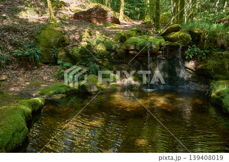 Serene corner in Monte Aloia Natural Park with a pool and lush vegetation 139408019