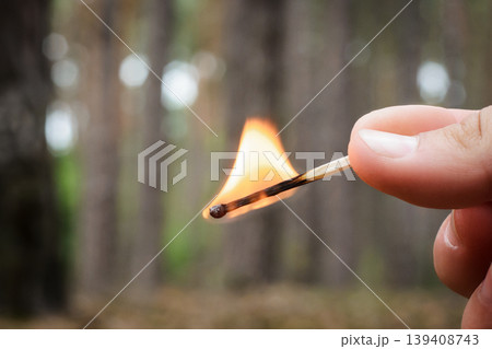 A men holds a burning match in a hand in a coniferous forest. It is dangerous to burn fire in forest, since it may be the cause of the forest fire. 139408743