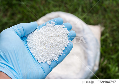 Farmer`s hand in blue glove holds white granular fertilizer against a green lawn and a bag on it Farmer`s hand in blue glove holds white granular fertilizer against a green lawn and a bag on it 139408747