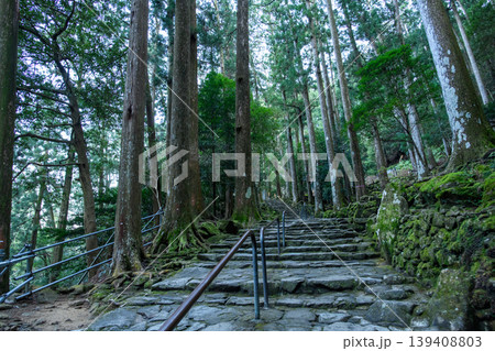 那智の滝 夕刻の飛龍神社参詣道 和歌山県 那智の滝 夕刻の飛龍神社参詣道 和歌山県 139408803