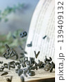 Open Book with Falling Black Letters. Knowledge and Education Concept 139409132