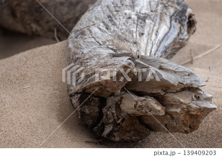 A weathered driftwood log rests on fine sand, showing cracked textures A weathered driftwood log rests on fine sand, showing cracked textures 139409203