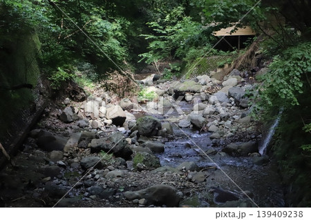 洒水の滝(神奈川県足柄上郡山北町)・深緑と滝沢川の流れ 洒水の滝(神奈川県足柄上郡山北町)・深緑と滝沢川の流れ 139409238