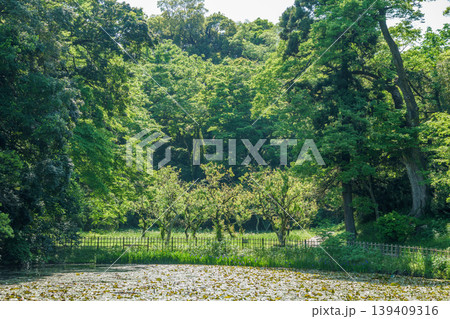 爽やかな公園風景 139409316