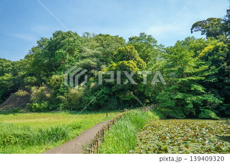爽やかな公園風景 139409320