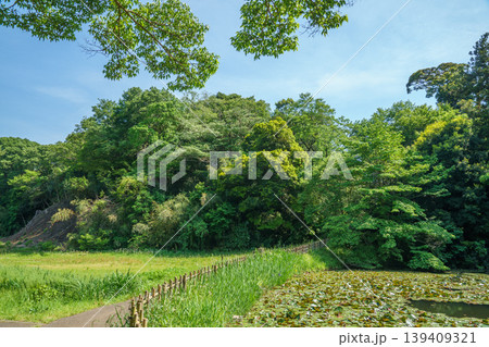 爽やかな公園風景 139409321