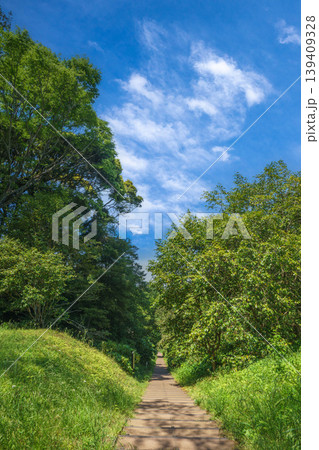 爽やかな公園風景 139409328