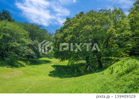 爽やかな公園風景 爽やかな公園風景 139409329