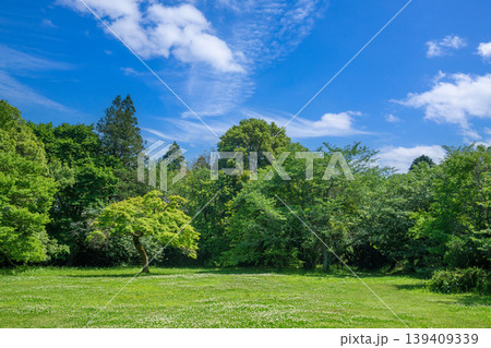 爽やかな公園風景 139409339