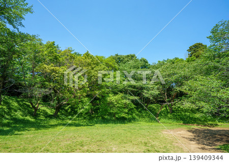 爽やかな公園風景 139409344