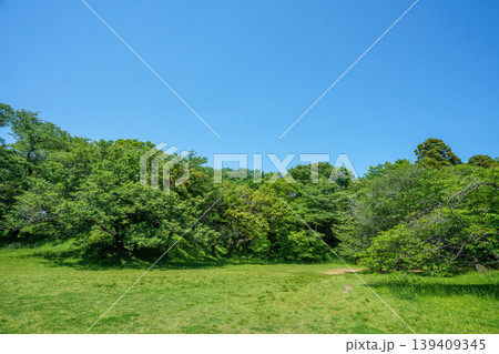 爽やかな公園風景 139409345